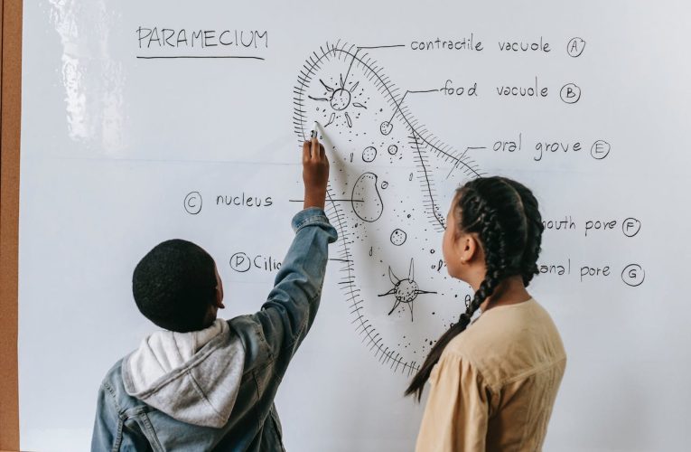 Interaktive Whiteboard-Spiele: Neue Technologien im Unterricht nutzen